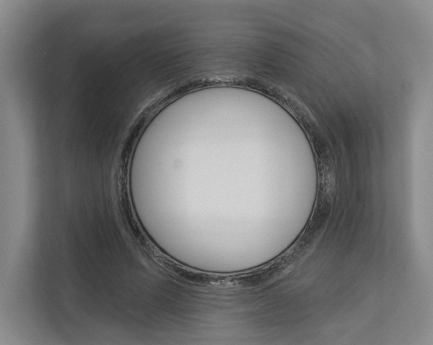 X0000113000591200908270921