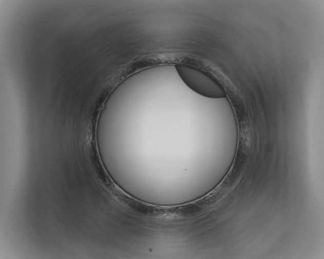 X0000113000593200908270921