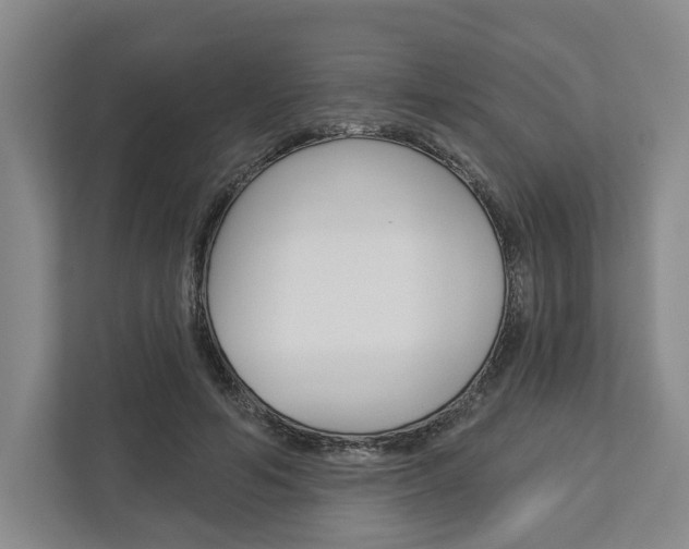 X0000113000594200908270921