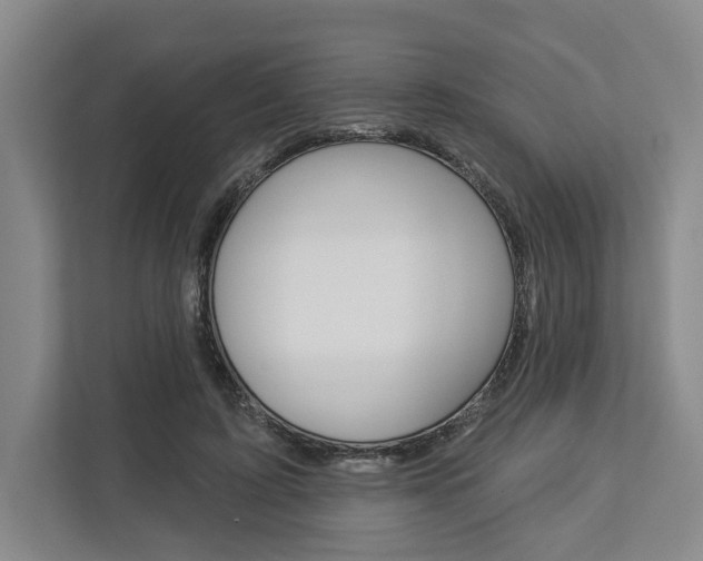 X0000113000595200908270921