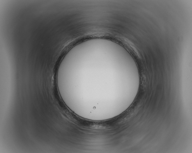 X0000113000596200908270921