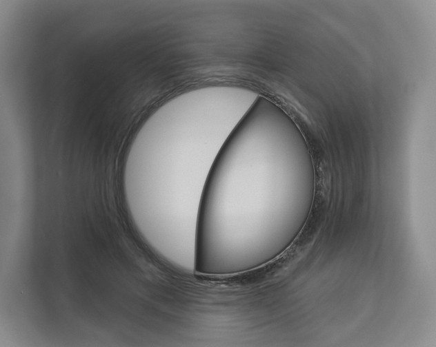 X0000113000597200908270921