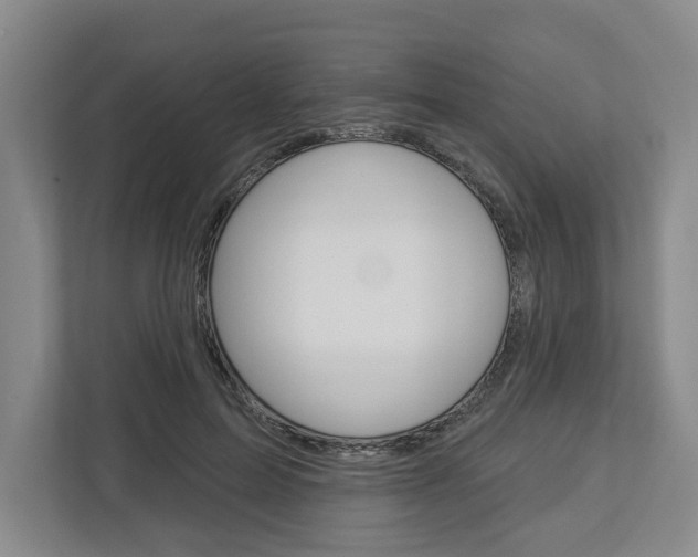 X0000113000599200908270921