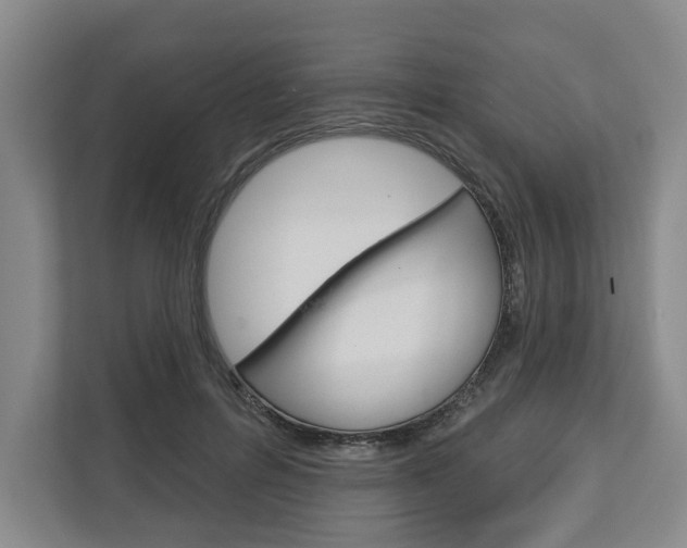 X0000113000600200908270921