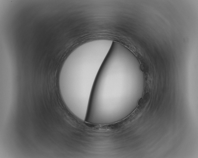 X0000113000601200908270921