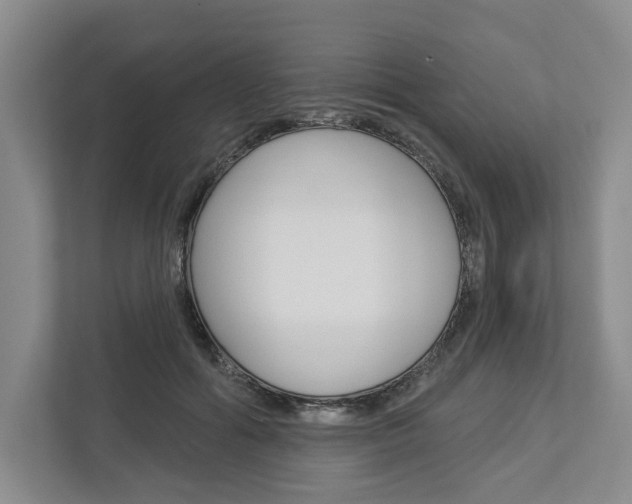 X0000113000602200908270921