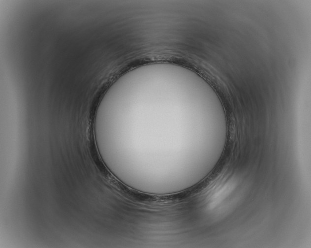 X0000113000604200908270921