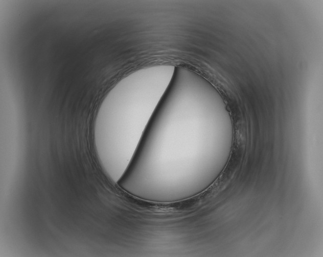 X0000113000605200908270921