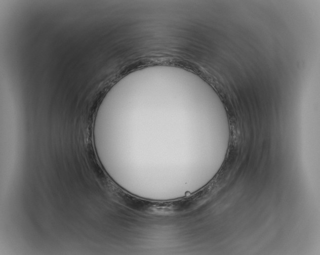 X0000113000606200908270921
