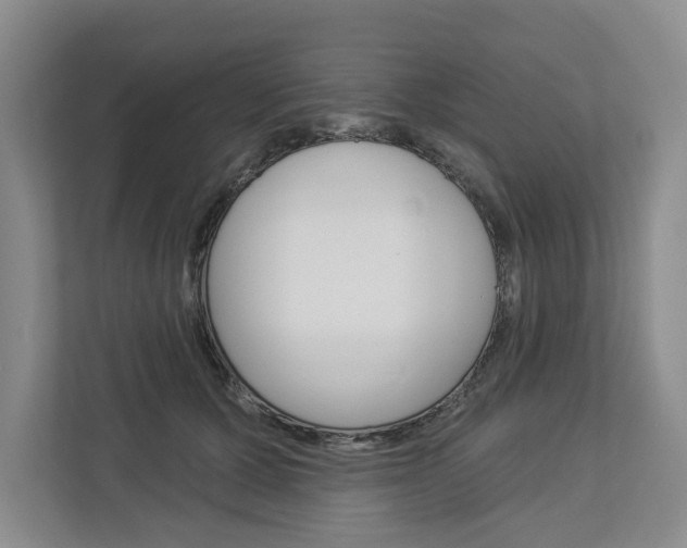 X0000113000607200908270921