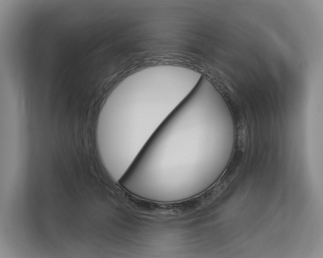 X0000113000608200908270921