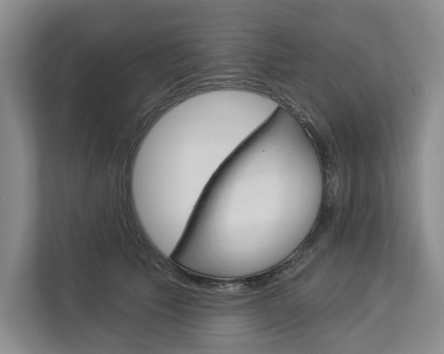 X0000113000609200908270921