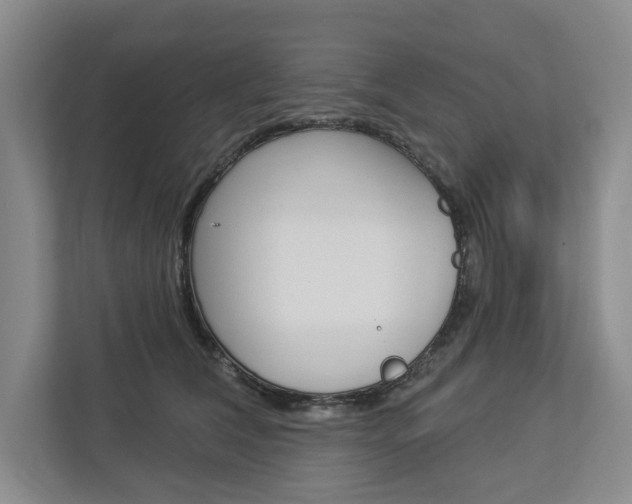 X0000113000612200908270921