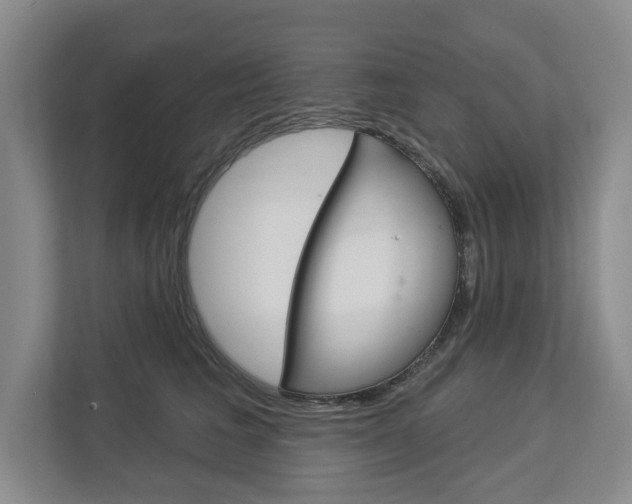 X0000113000613200908270921