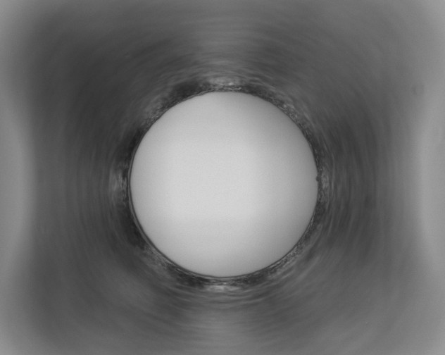 X0000113000614200908270921