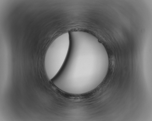 X0000113000615200908270921