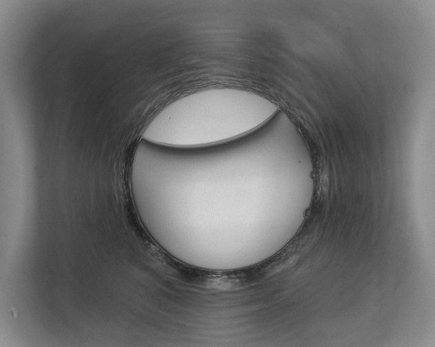 X0000113000616200908270921