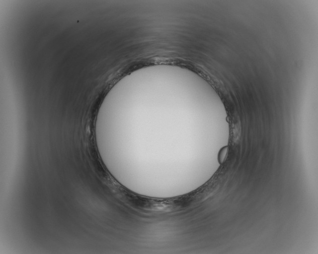 X0000113000618200908270921