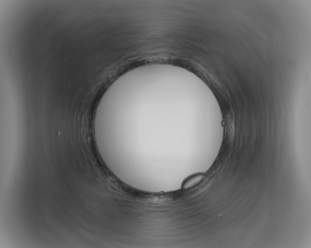 X0000113000619200908270921