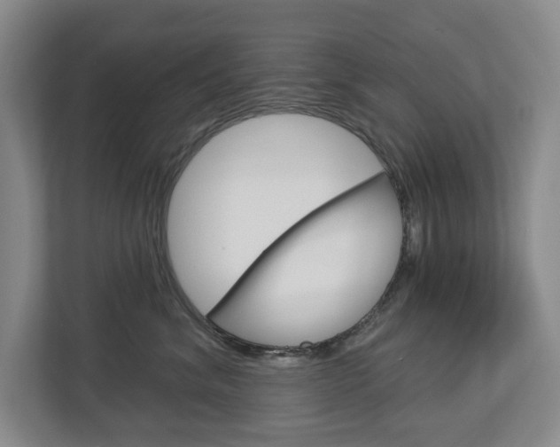 X0000113000620200908270921