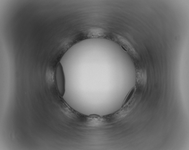 X0000113000621200908270921