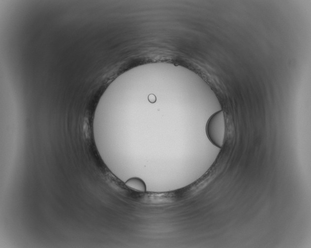 X0000113000622200908270921