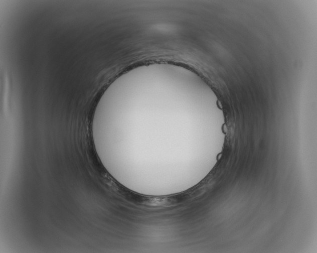 X0000113000623200908270921