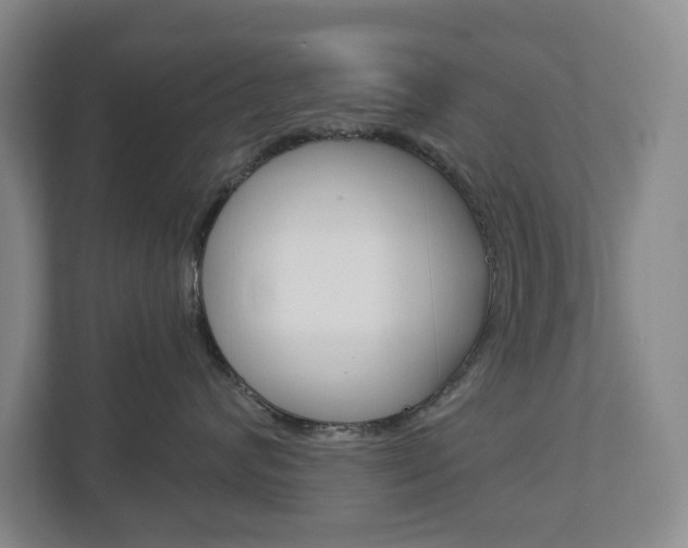 X0000113000624200908270921