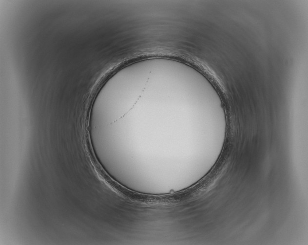 X0000113000625200908270920