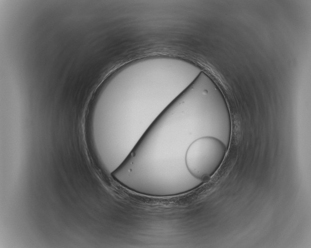 X0000113000626200908270920