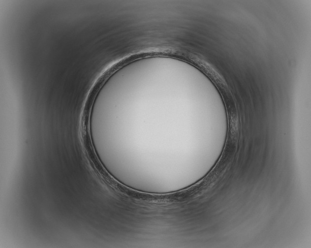 X0000113000628200908270920