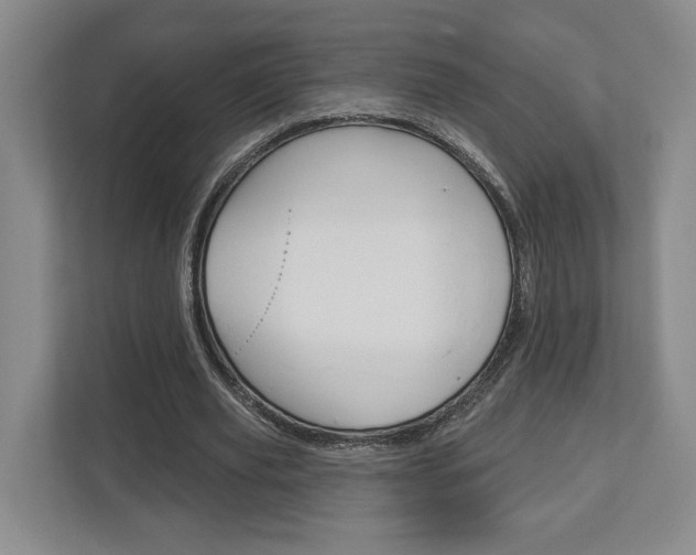 X0000113000629200908270920
