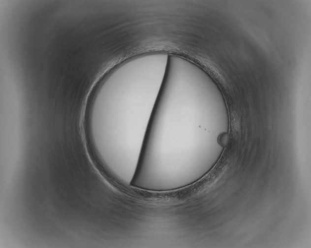 X0000113000630200908270920