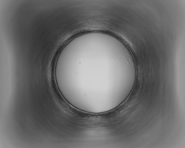 X0000113000631200908270920