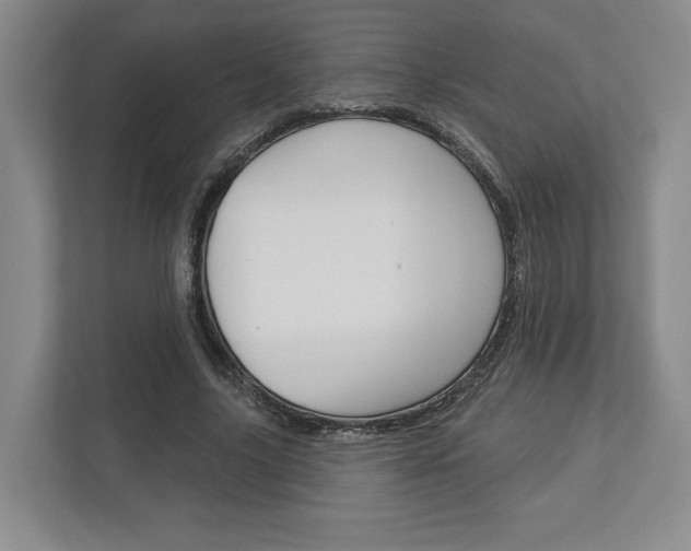 X0000113000635200908270920
