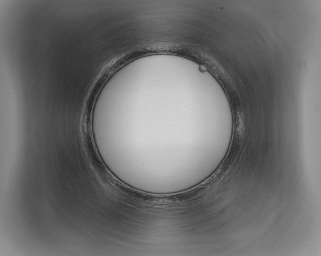 X0000113000636200908270920