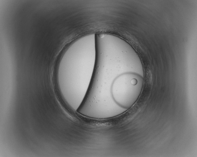 X0000113000638200908270920