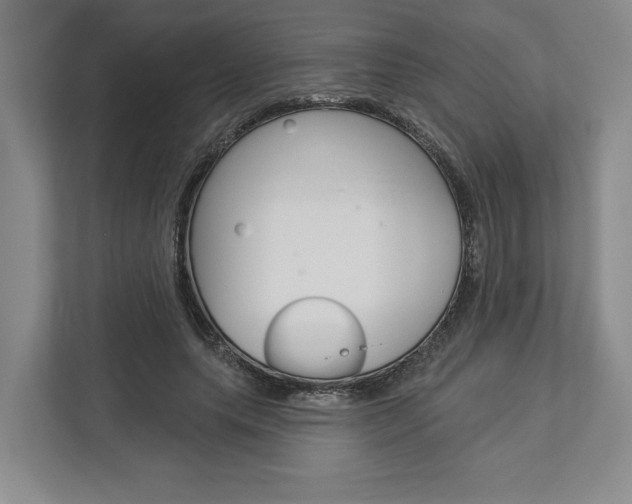 X0000113000639200908270920