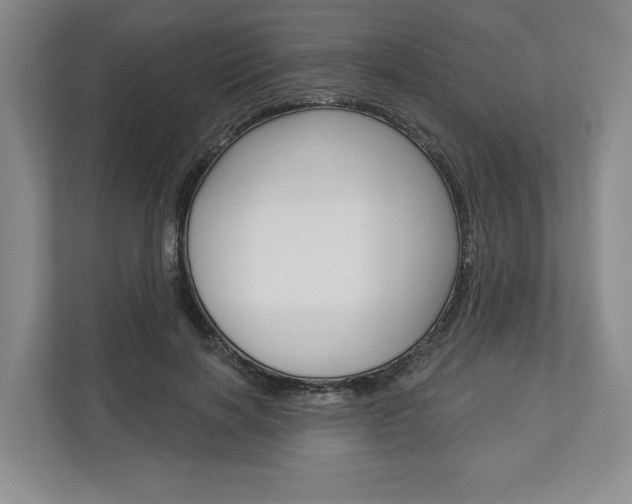 X0000113000646200908270920