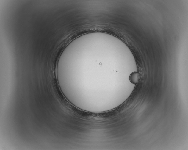 X0000113000648200908270920