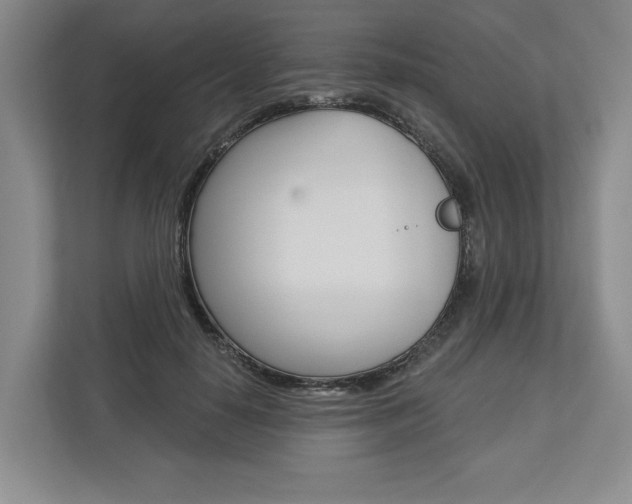 X0000113000650200908270920