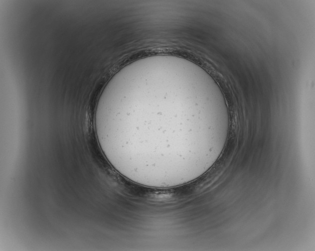 X0000113000651200908270920