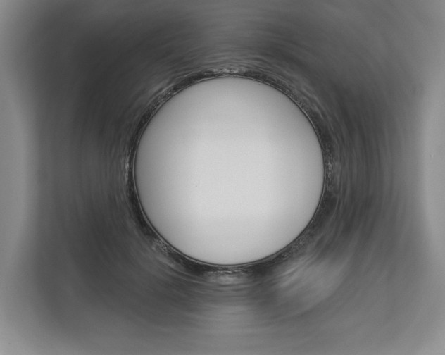 X0000113000652200908270920
