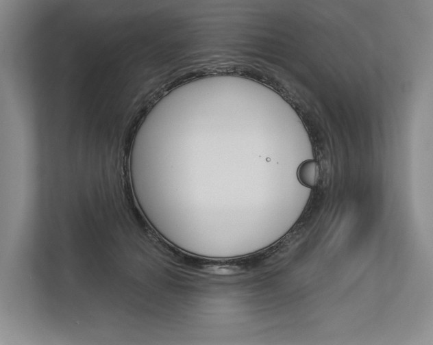 X0000113000654200908270920