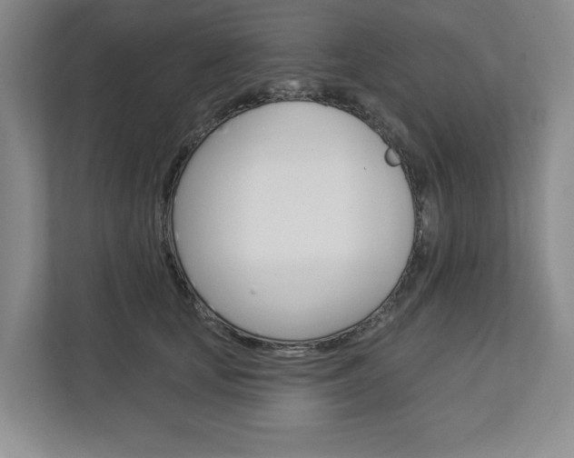 X0000113000659200908270921