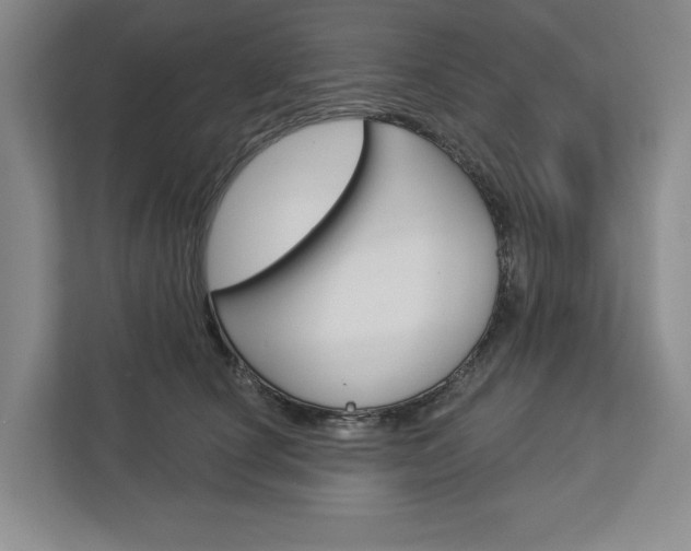 X0000113000660200908270921
