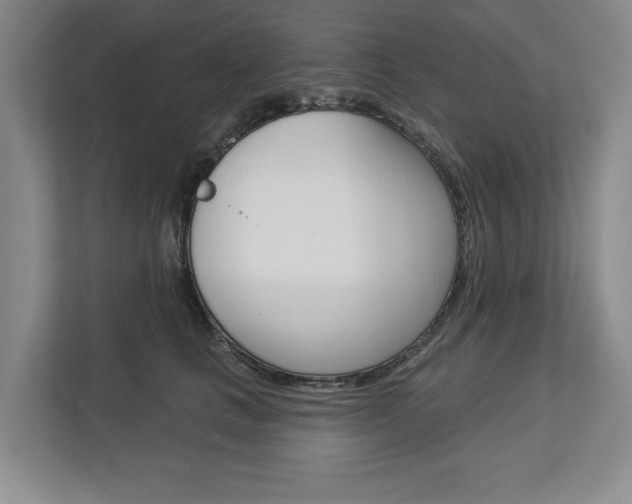 X0000113000661200908270921