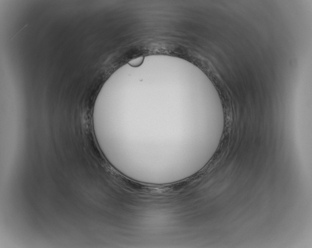 X0000113000663200908270921