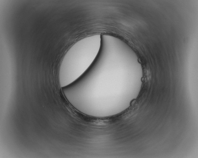 X0000113000664200908270921