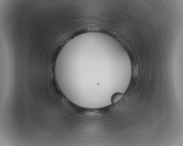 X0000113000666200908270921